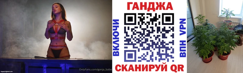 Конопля SATIVA & INDICA  Купить закладки  Юрьев-Польский 